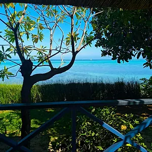 https://moorea-fare-taina-iti.frenchpolynesia-hotels.com